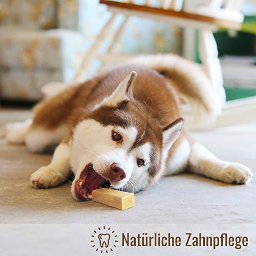 MERVELA Hueso masticable de queso para perros pequeños [41 g por barrita] - hecho a mano - con delicioso sabor a queso - 100 % natural - cuidado dental óptimo para tu amigo de cuatro patas (3 piezas)