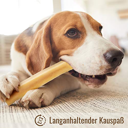 MERVELA Hueso masticable de queso para perros pequeños [41 g por barrita] - hecho a mano - con delicioso sabor a queso - 100 % natural - cuidado dental óptimo para tu amigo de cuatro patas (3 piezas)