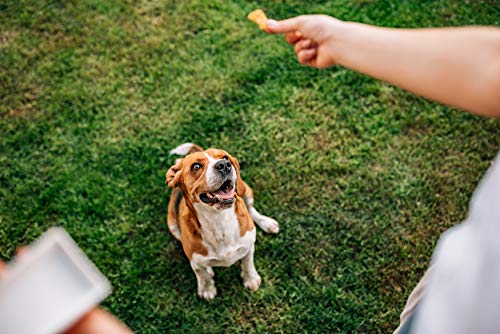 Modern Gourmet Foods, Cracker para Perro