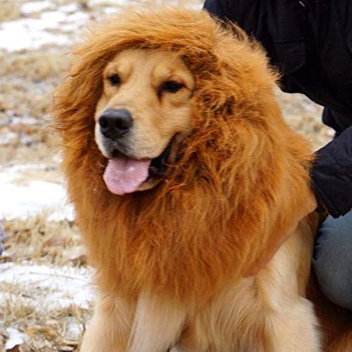 Monlook León Melena Peluca con Orejas para Perros Grandes Halloween Ropa Disfraz Mascota Disfraz Suministros