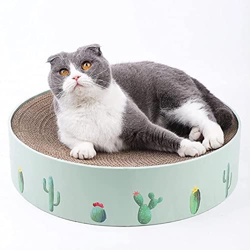 Morninganswer Divertido diseño de Cactus, Lavabo Corrugado, Juguete de Pata de Gato, Cama Redonda para Gatos W