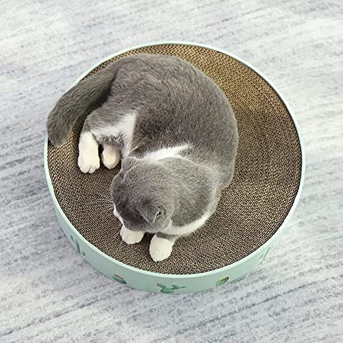 Morninganswer Divertido diseño de Cactus, Lavabo Corrugado, Juguete de Pata de Gato, Cama Redonda para Gatos W