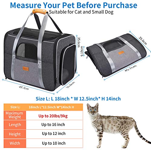 morpilot Transportín Gato Transportín Perro, Bolsa Transporte Plegable para Gato y Perro Pequeño Mediano, Transportin para Perro Pequeño con Correa de Hombro Ajustable y Cojin Suave + Tazón Plegable