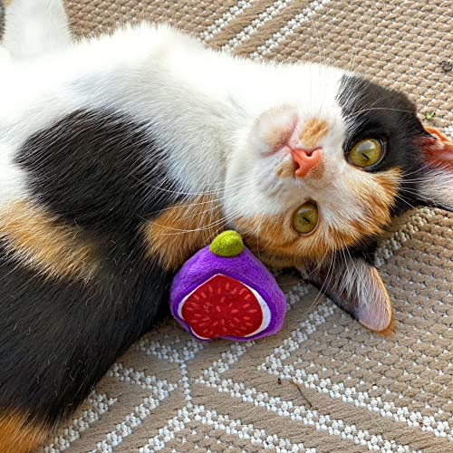 munchiecat - Juguete para Vino y Queso para Gatos, adopción de Gatos, Amantes del Vino, Regalo de inauguración de la casa