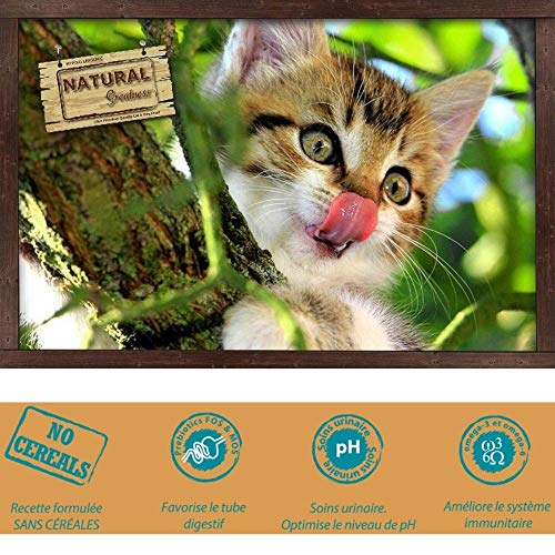 Natural Greatness - Pienso Natural No Gluten Gatos Senior Esterilizados o de Interior Saco 6 Kg - Incluye 8 Snacks Naturales de Atún