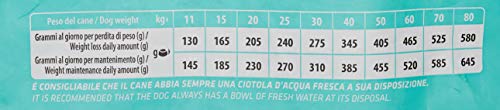Natural Trainer Ideal Weight – Comida Seca para Perros Adultos de Talla Mediana y Grande, con Carnes Blancas, 12 kg