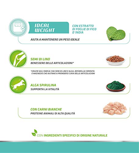 Natural Trainer Ideal Weight – Comida Seca para Perros Adultos de Talla Mediana y Grande, con Carnes Blancas, 12 kg