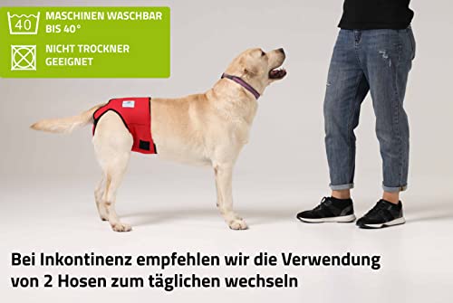 NATURE PET Pantalones de pañales con calor para perros en temporada/pantalones de incontinencia para perros, pantalones protectores para perros (XL)