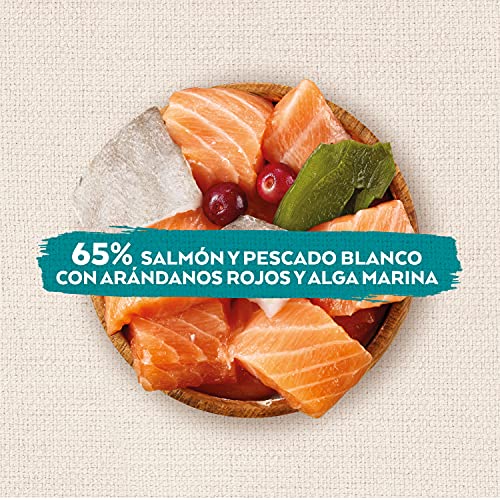 Natures variety Superfood - Snacks para Perros Adultos con salmón, arándanos Rojos y Algas 85g x 8