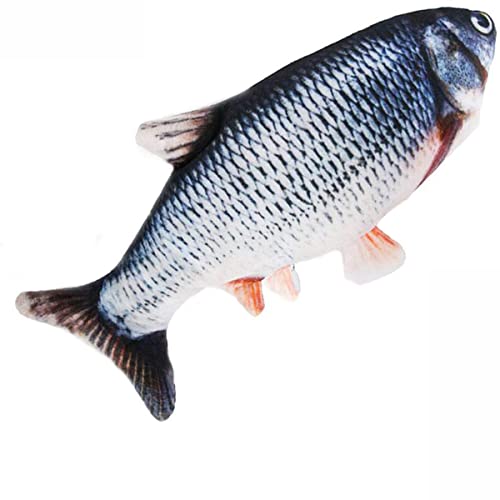 gatos y pescados