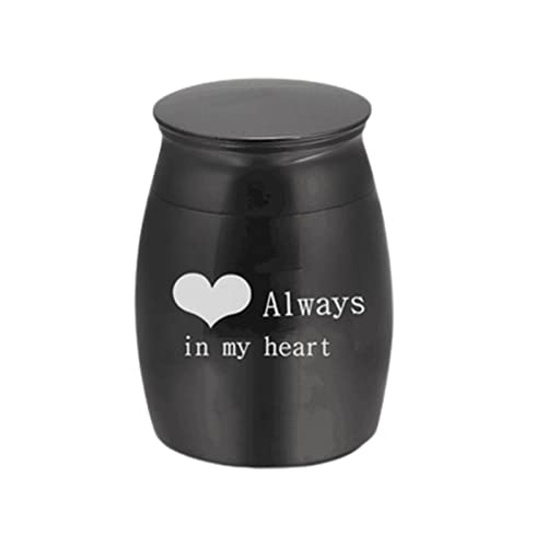 Niktule Pequeña urna de recuerdo para cenizas, tarro para el cabello, mini urnas para cenizas de acero inoxidable, soporte memorial para cenizas, «Te echamos de menos en mi corazón».
