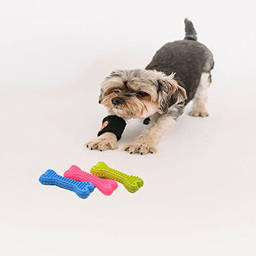NITAIUN 3 Piezas de Juguetes para Masticar Perros Cepillo de Dientes de Perro Goma Natural Duradera para el Cuidado Dental del Perro Limpieza de Dientes Evitar el Aburrimiento de Perros (3 piezas)
