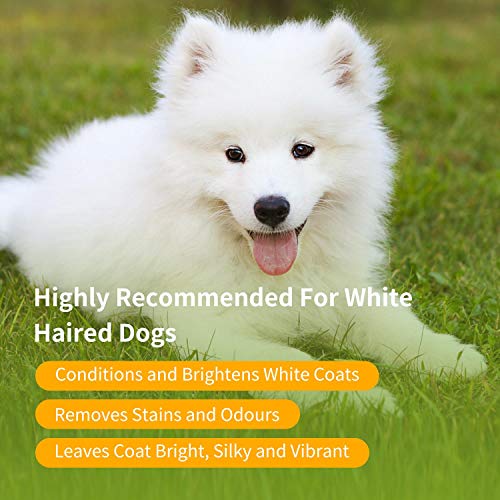 Nobleza champú para Perros Blancos -Eliminar Las Manchas sin lejía ni peróxido, champu Perros Pelo Blanco con Fragancia de Naranja, Champú para bichón, Maltés y Samoyedo 250 ml
