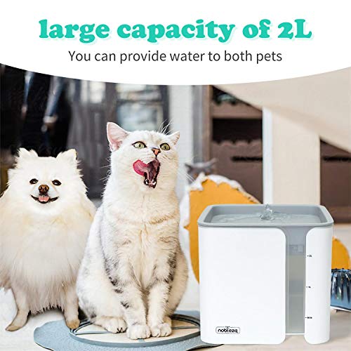 Nobleza Fuente para Gatos Silencioso Bebedero Mascotas Bebedero automático Perros y 3 filtros de carbón Activado 2.0 L