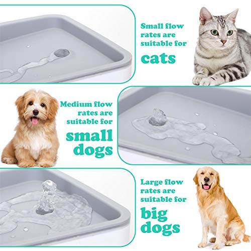 Nobleza Fuente para Gatos Silencioso Bebedero Mascotas Bebedero automático Perros y 3 filtros de carbón Activado 2.0 L