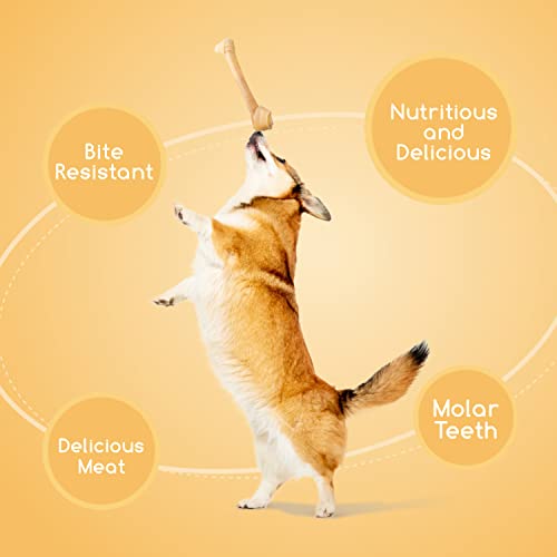 Nobleza - Hueso para Perros, Delicioso Snack para Perro, Hueso Masticable para Perros, 100% Natural Piel de Vaca Snacks Naturales para Perros de Todas Las Razas 1 Piezas 30 cm /180 g