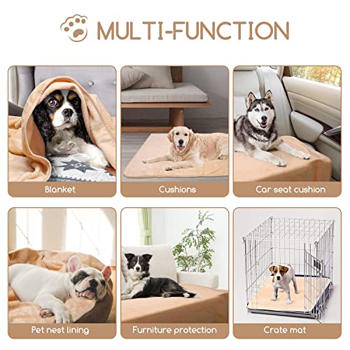 Nobleza Manta Suave de Felpa para Perros Gatos y Otras Mascotas Lavable Color Beix 75x75cm