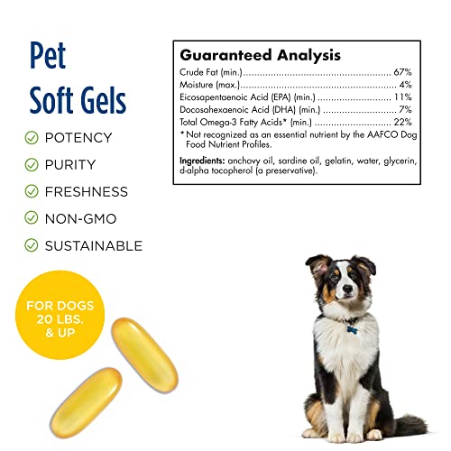 Nordic Naturals Omega-3 Pet - 90 Cápsulas Blandas 90 Unidades 160 g