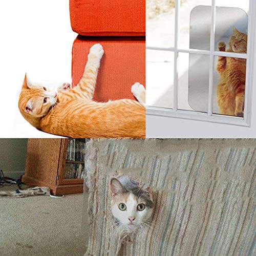 N/S 47 cm x 15 cm, lámina adhesiva de protección contra arañazos para muebles, lámina antiarañazos para sofá, puerta o pared (2 unidades)