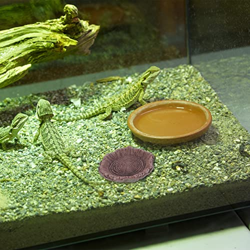 NUOBESTY 4 PCS Reptiles Alimentos Resina Terrario Agua Barbacoa Dragón Alimento Alimento para Leopardo Reptiles Lagartos Serpientes