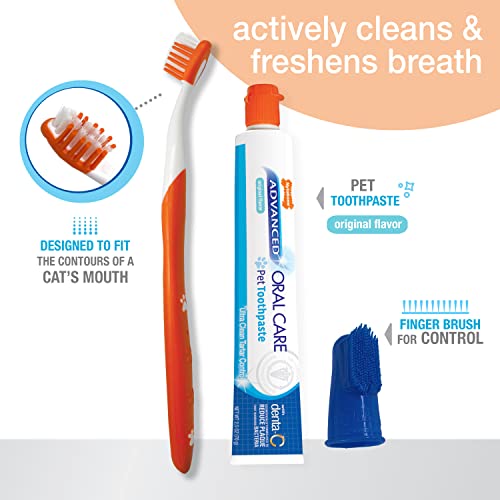 Nylabone Kit dental avanzado para gatos orales