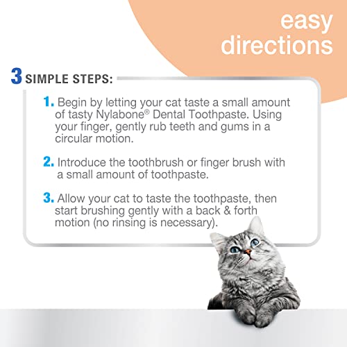 Nylabone Kit dental avanzado para gatos orales