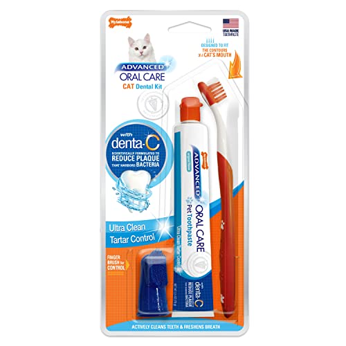 Nylabone Kit dental avanzado para gatos orales