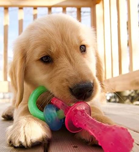 Nylabone - Teething Pacifier juguete para dentición de cachorros