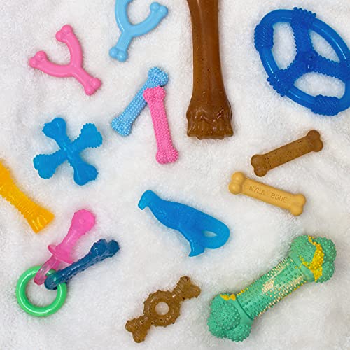 Nylabone - Teething Pacifier juguete para dentición de cachorros