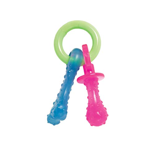 Nylabone - Teething Pacifier juguete para dentición de cachorros