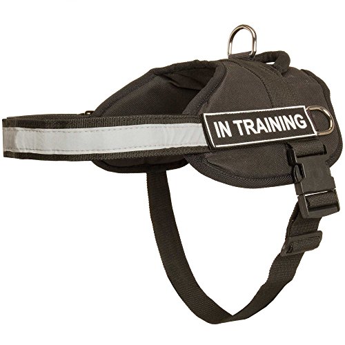 Nylon arnés del perro con correa reflectante para entrenamiento, caminar, servicio de policía, SAR y más – Talla XXS) con "Perro de terapia velcro Parches