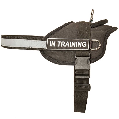 Nylon arnés del perro con correa reflectante para entrenamiento, caminar, servicio de policía, SAR y más – Talla XXS) con "Perro de terapia velcro Parches