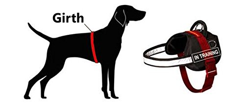Nylon arnés del perro con correa reflectante para entrenamiento, caminar, servicio de policía, SAR y más – Talla XXS) con "Perro de terapia velcro Parches