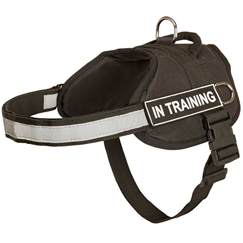 Nylon arnés del perro con correa reflectante para entrenamiento, caminar, servicio de policía, SAR y más – Talla XXS) con "Perro de terapia velcro Parches