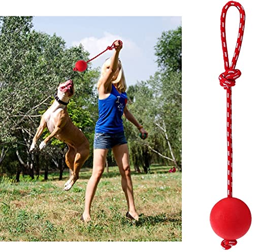 OFKPO 3PCS Juguetes Interactivos para Perros, Pelota de Goma Natural en Una Cuerda