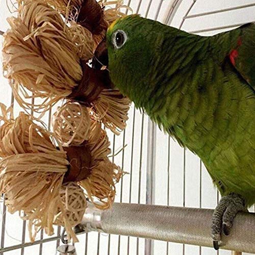 Ogquaton  Juguete para Masticar Loros Juguete de molienda de grillo de pájaro Reloj de Pared de Juguete de Loro de pájaro Colorido Juguete Loro, Guacamayo, Loro, pájaro de Amor, pinzón