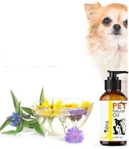 Oïléna Aceite para Mascotas. Suplemento Alimenticio Natural para Perros y Gatos. Uso Diario. Combinado de 6 Aceites Ricos en Vitamina E y Omega 3, 6 y 9. Prensado en Frío (250 ml)
