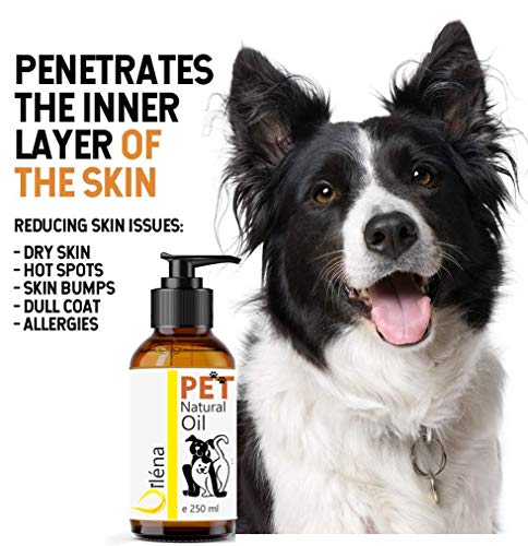 Oïléna Aceite para Mascotas. Suplemento Alimenticio Natural para Perros y Gatos. Uso Diario. Combinado de 6 Aceites Ricos en Vitamina E y Omega 3, 6 y 9. Prensado en Frío (250 ml)