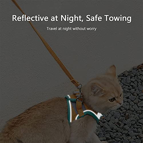 OMEM Juego de arnés y correa antiescape, para caminar al aire libre, con cinta reflectante y arnés ajustable para gatos y perros pequeños y medianos (azul)