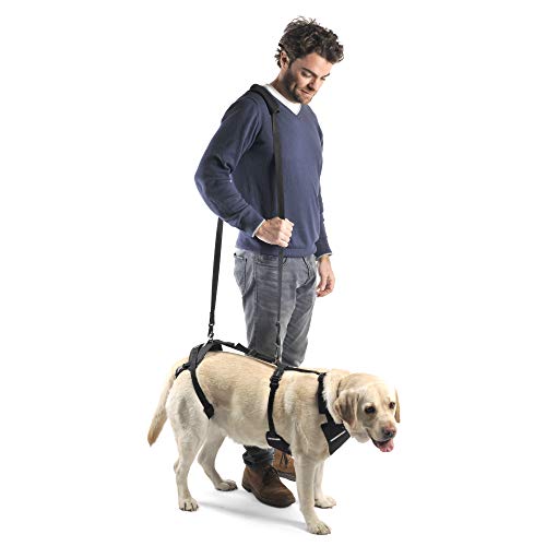Ortocanis Arnés canino Integral - Apoyo Tren Anterior y Posterior - Talla L