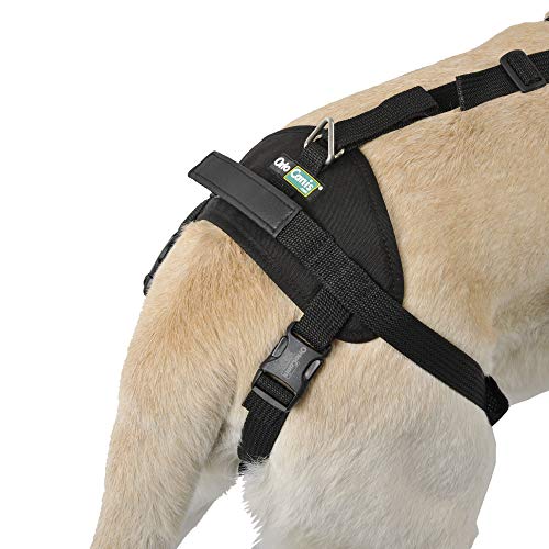 Ortocanis Arnés canino Integral - Apoyo Tren Anterior y Posterior - Talla L
