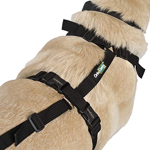 Ortocanis Arnés canino Integral - Apoyo Tren Anterior y Posterior - Talla L