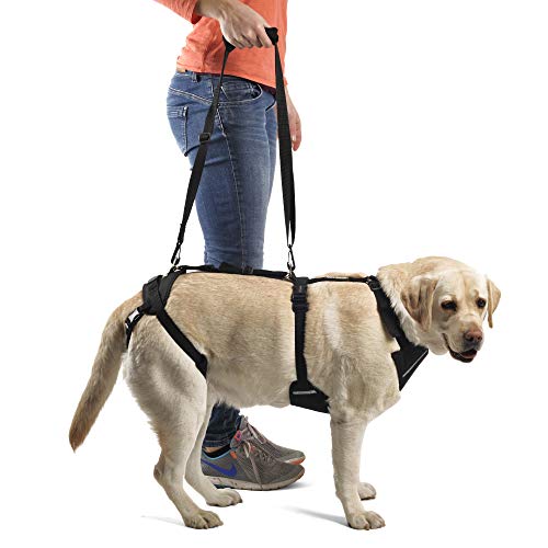 Ortocanis Arnés canino Integral - Apoyo Tren Anterior y Posterior - Talla L