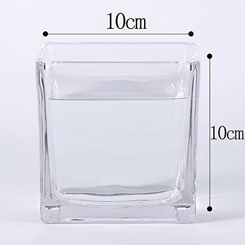 OVBBESS Acuario Cuadrado de Vidrio Engrosado,Mini pecera Transparente,pecera pequeña de Escritorio de Oficina