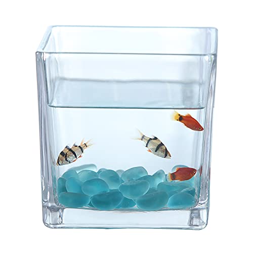 OVBBESS Acuario Cuadrado de Vidrio Engrosado,Mini pecera Transparente,pecera pequeña de Escritorio de Oficina