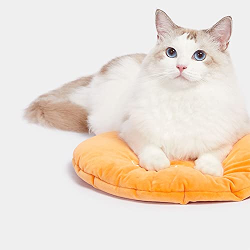 Ownlife Cama de Gato de Mimbre Hecho a Mano Ratán Mascota Casa de Gato Casa de Gato con cojín Suave Casas de Canasta for Gatos de Interior y Perros pequeños Mascotas