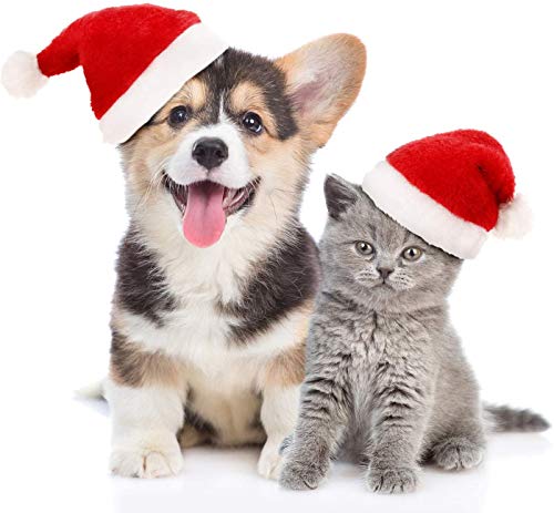 Pack 3 Gorros Pequeños de Papá Noel para Perros y Gatos Disfraz de Navidad de Mascotas