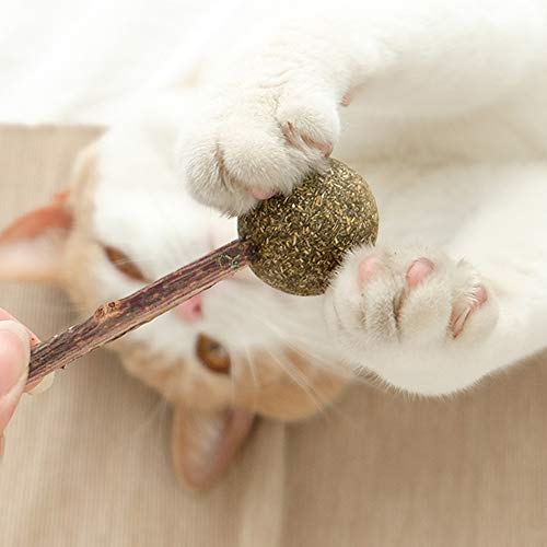 Papasgix - Hierba para gatos, chupete catario de Catatabi, juguete con palo para gatos, gatos, leche, interactivo