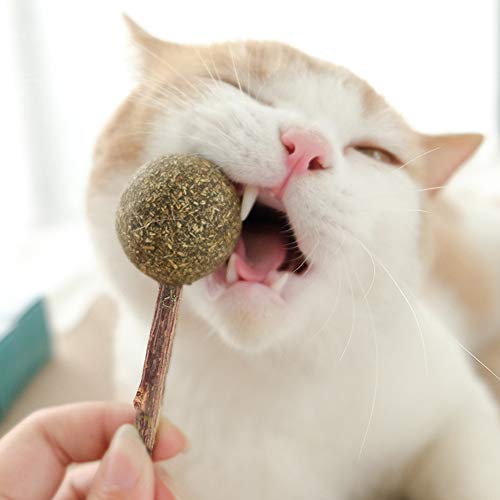 Papasgix - Hierba para gatos, chupete catario de Catatabi, juguete con palo para gatos, gatos, leche, interactivo