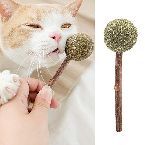 Papasgix - Hierba para gatos, chupete catario de Catatabi, juguete con palo para gatos, gatos, leche, interactivo